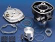 Polini Cilindro kit/ Yamaha Aerox-47mm/ 166.0083